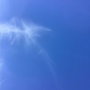 Meet your Posher, Gabriella